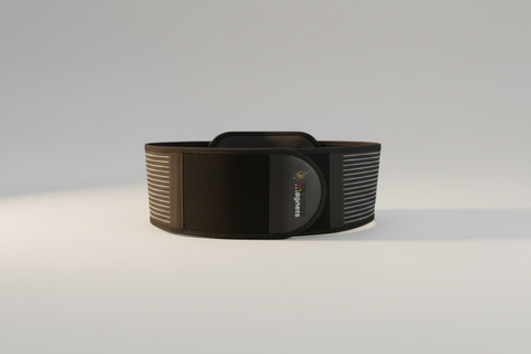 Magnetic Back Belt Email Image