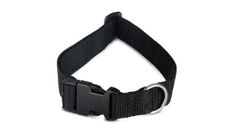 Collar magnético para perro amarillo