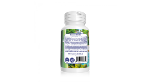 Saw Palmetto
