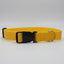 Collar magnético para perro amarillo