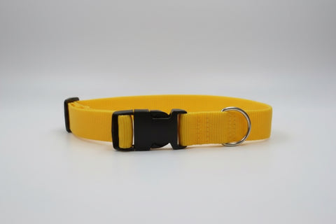 Collar magnético para perro amarillo