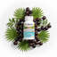 Saw Palmetto bottle with berries and palm fronds